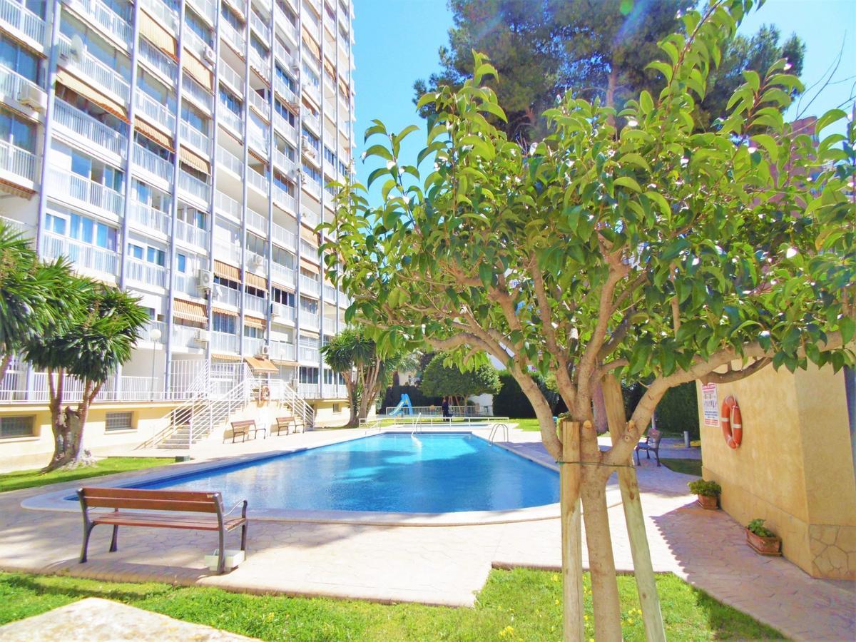 Albatros 13-1 Lägenhet Benidorm Exteriör bild